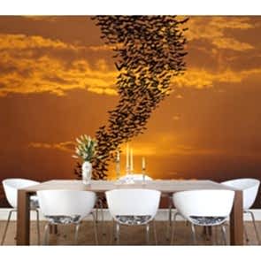 Göç Yolları Duvar Kağıdı