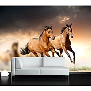 Dört Nala 3 Boyutlu At Resimli Duvar Kağıdı Önizleme