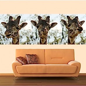 Üç Zürafa 3 Boyutlu Resimli Duvar Kağıdı Önizleme