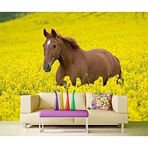 Özgürlük Koşusu 3 Boyutlu At Resimli Duvar Kağıdı Önizleme