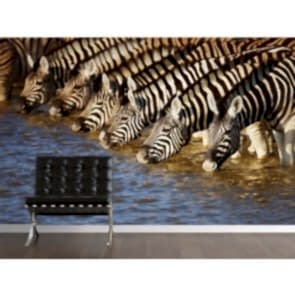 Su Molası Duvar Kağıdı