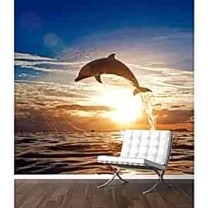 Sıçrayış Duvar Kağıdı