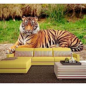 Asalet Duvar Kağıdı