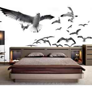 Beyaz Kuşlar Duvar Kağıdı