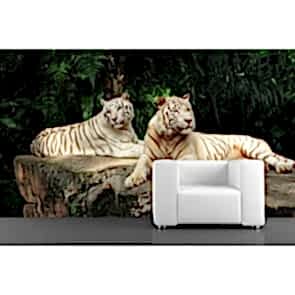 Afrika'da Öğle Vakti - Resimli İthal Duvar Kağıtları 