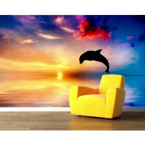 Flipper - Duvar Sticker ve Duvar Resimleri