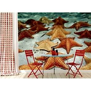 Deniz Yıldızı - Resimli İthal Duvar Kağıtları 