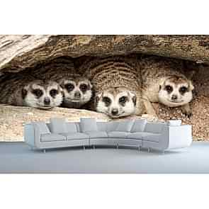 Saklambaç - Resimli İthal Duvar Kağıtları 