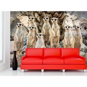 Meraklı Bakışlar - Duvar Sticker ve Duvar Resimleri