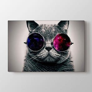 Gözlüklerin Ardından Tablosu Kanvas Tablo Modeli