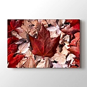 Kızıl Yapraklar Tablosu Kanvas Tablo Modeli