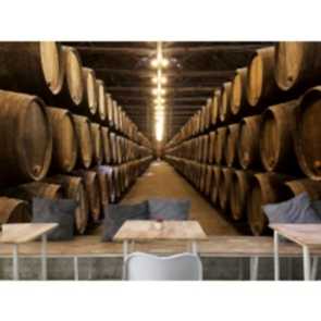 Şarap Mahzeni ve Fıçıları - 3D Duvar Kağıdı Uygulama