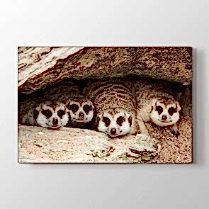 Saklambaç - Vahşi Yaşam Resimli Kanvas Tablo Modeli
