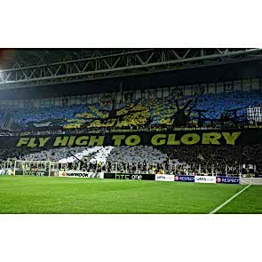 Sarının Yanına Lacivert