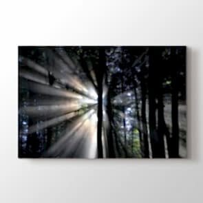 Gece Görüşü Orman Tablosu | Manzara Tabloları