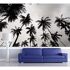 Siyah Beyaz Palmiyeler Manzara Duvar Kağıdı Modeli