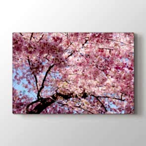 Adım Bahar - Doğa Manzara Duvar Dekoru Kanvas Tablo