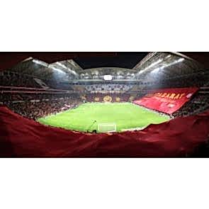 Galatasaray Türk Telekom Arena