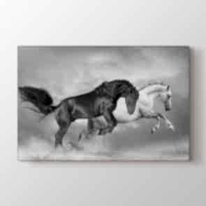 Atlar Şaha Kalktı Tablosu | At Resimli Tablolar