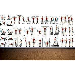 Fitness Hareketleri 3D Duvar Kağıdı Modeli