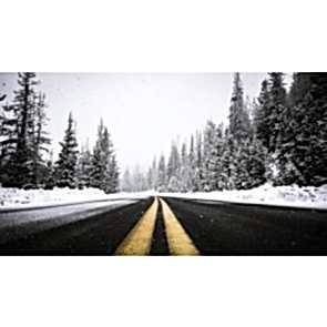 Bilinmeyen Yere Yolculuk