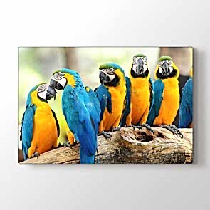 Sarı Lacivert Papağanlar - Vahşi Yaşam Dekoratif Duvar Tablosu