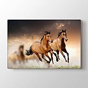 Dört Nala - Vahşi Yaşam Duvar Tablosu Modeli