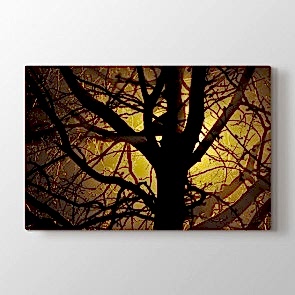 Sihirli Ağaçlar Tablosu | Deniz Tabloları