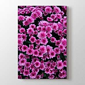 Mor Çiçekler Tablosu | Modern Çiçek Tabloları